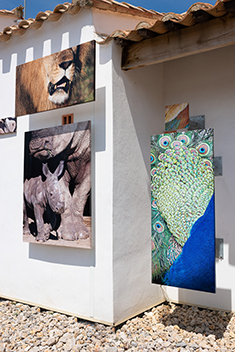 Panneaux SubliLaque à bords tombés